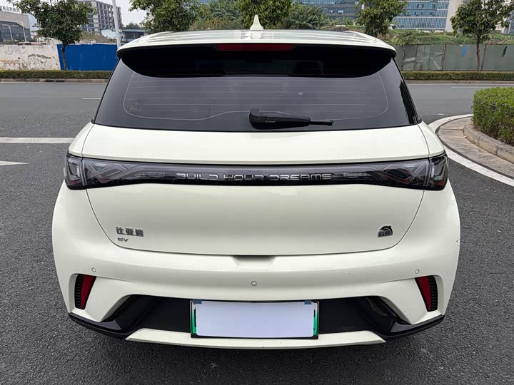 Фото 6 - BYD Dolphin