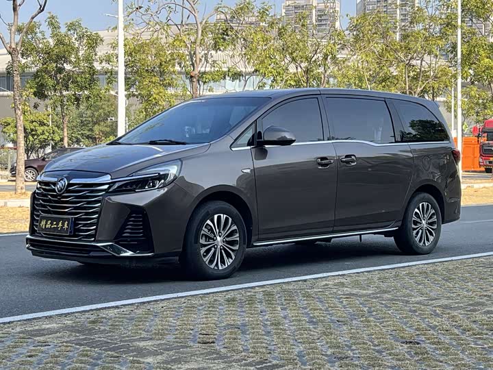 Фото 1 - Buick GL8 ES