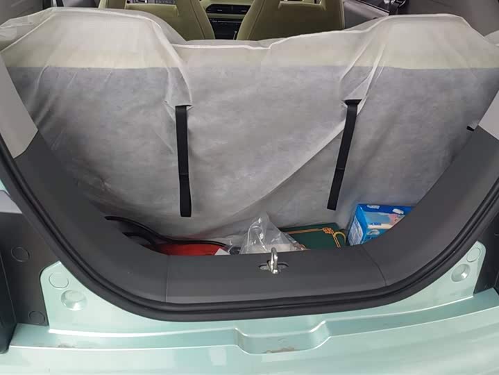 Фото 4 - Geely Galaxy Panda Mini