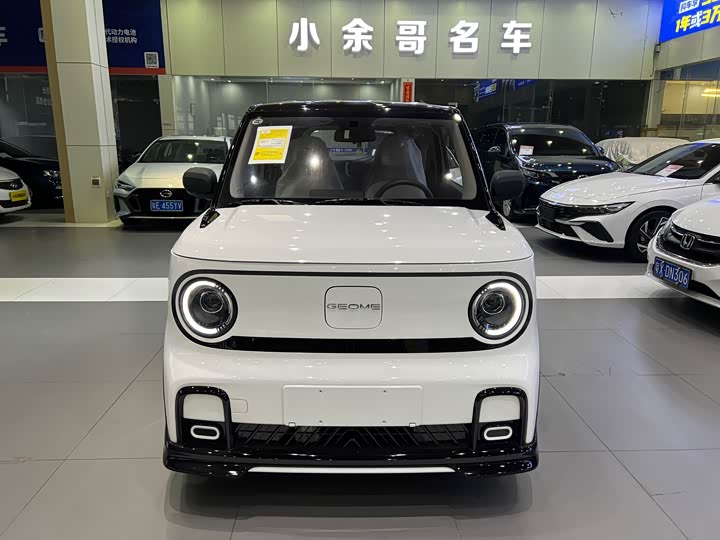 Фото 1 - Geely Galaxy Panda Mini