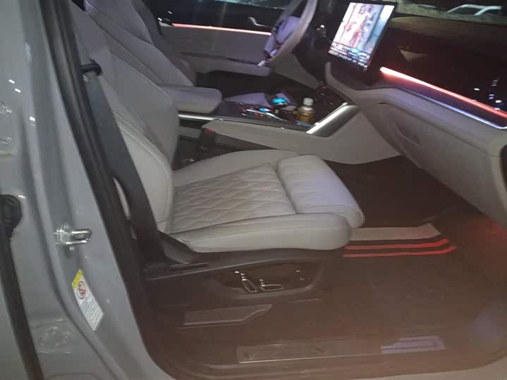 Фото 8 - BYD Tang Hybrid/EV