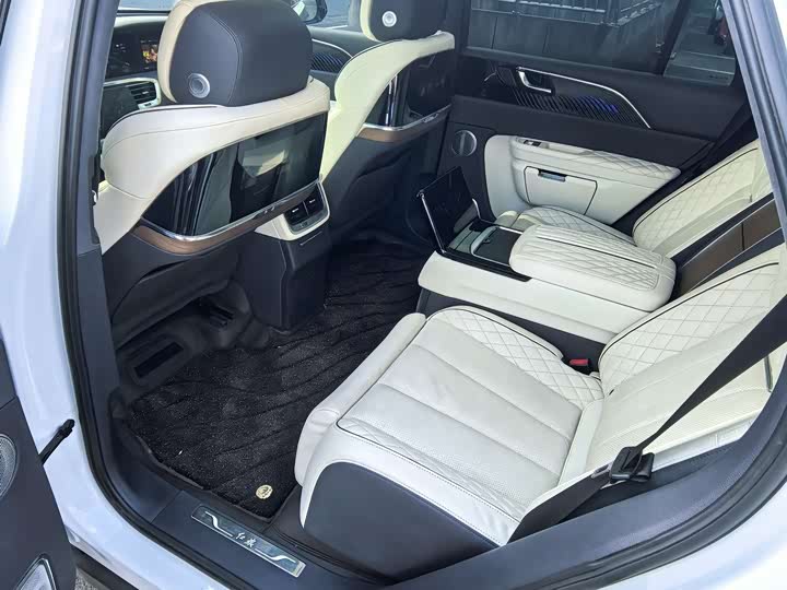 Фото 8 - Hongqi E-HS9