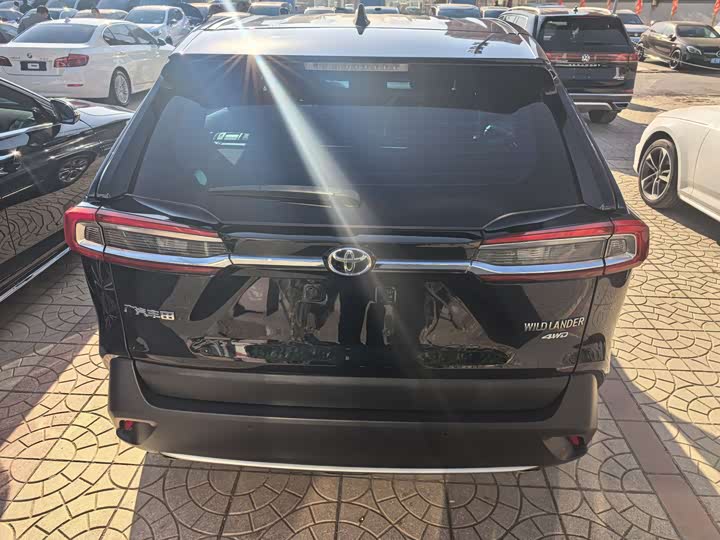 Фото 5 - Toyota Wildlander