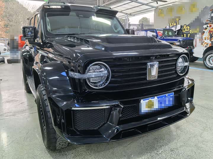 Фото 2 - Tank 300