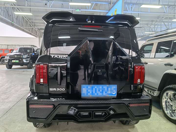 Фото 4 - Tank 300