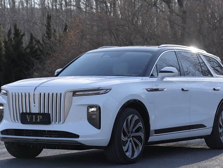 Фото 1 - Hongqi E-HS9