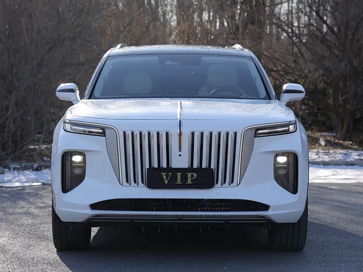 Фото 2 - Hongqi E-HS9