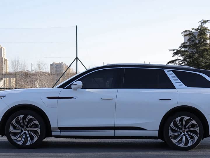Фото 3 - Hongqi E-HS9
