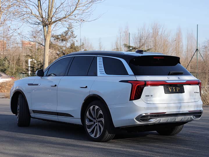 Фото 5 - Hongqi E-HS9