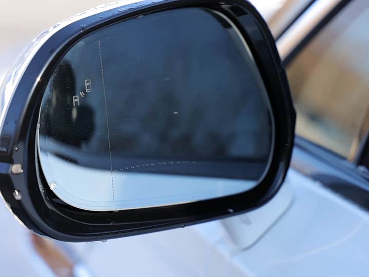 Фото 6 - Hongqi E-HS9