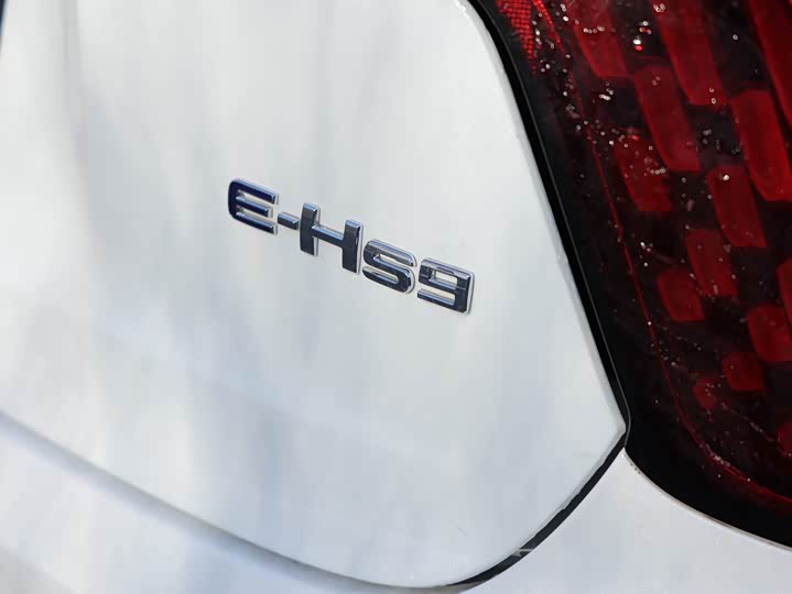 Фото 7 - Hongqi E-HS9