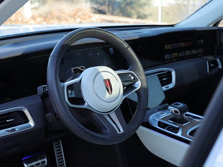 Фото 8 - Hongqi E-HS9