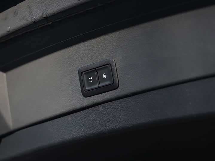 Фото 9 - Hongqi E-HS9