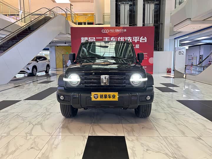 Фото 2 - Tank 300