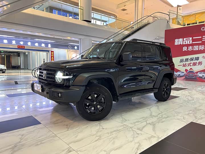 Фото 3 - Tank 300