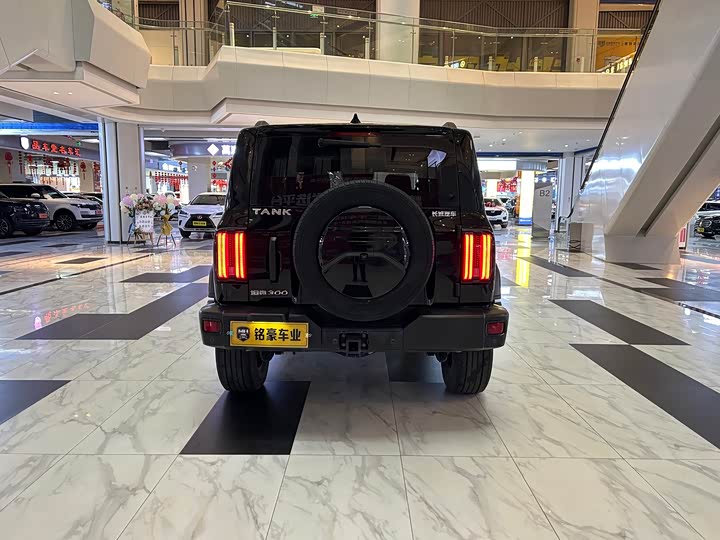 Фото 8 - Tank 300