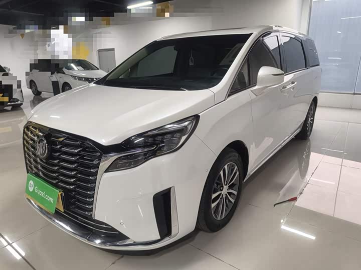 Фото 1 - Buick GL8 ES