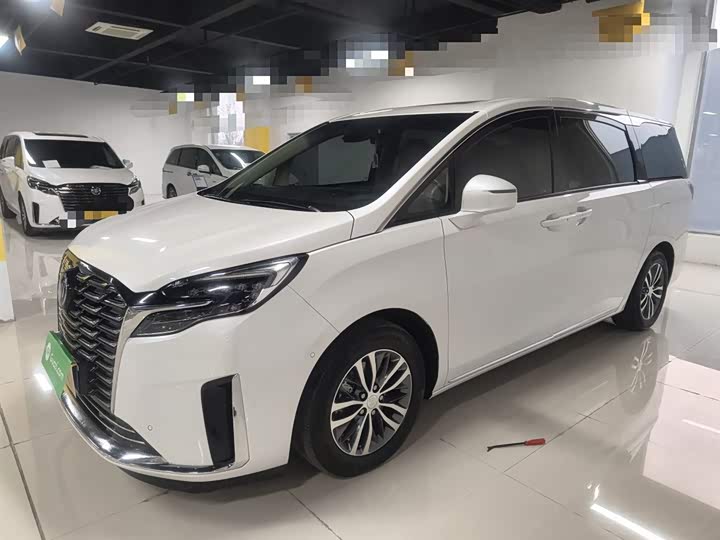 Фото 5 - Buick GL8 ES