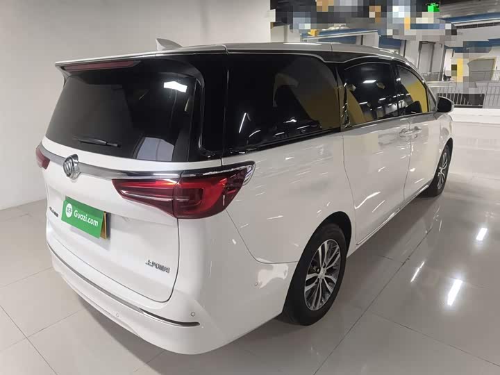 Фото 7 - Buick GL8 ES