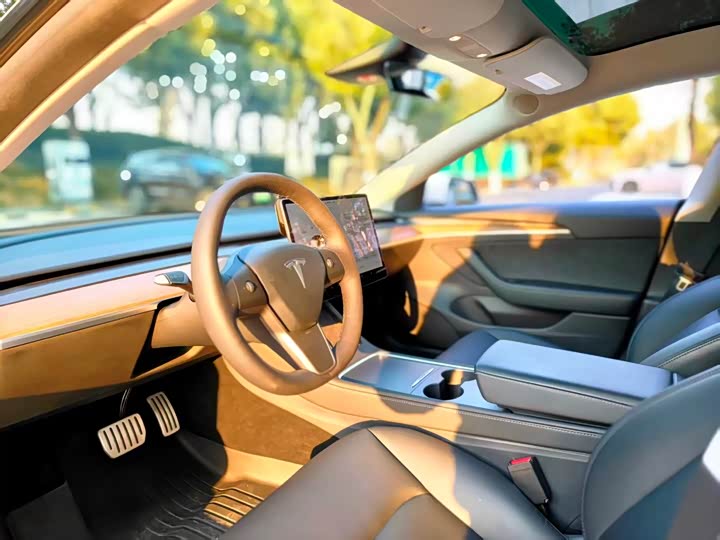 Фото 4 - Tesla Model 3