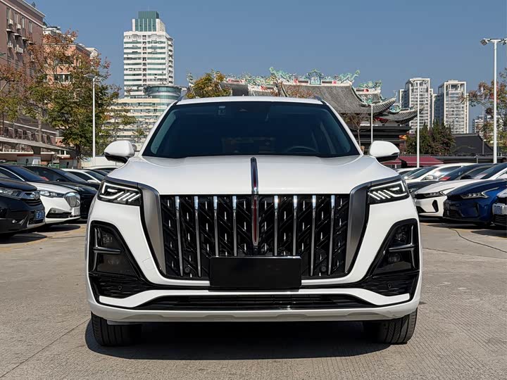 Фото 2 - Hongqi HS5