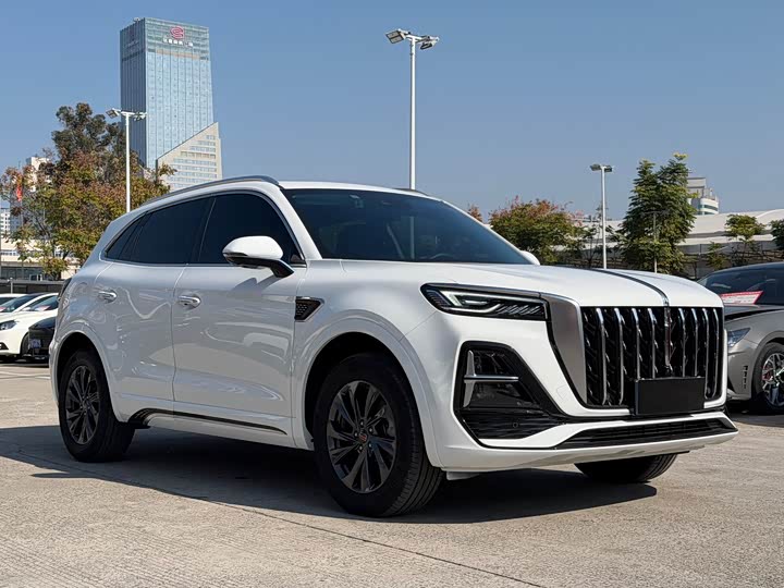 Фото 3 - Hongqi HS5