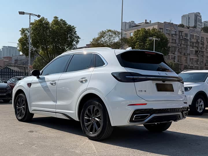 Фото 4 - Hongqi HS5