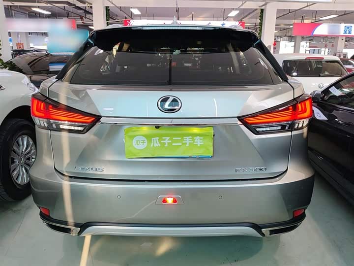 Фото 6 - Lexus RX