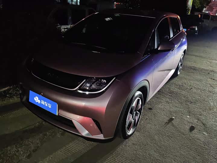 Фото 1 - BYD Dolphin