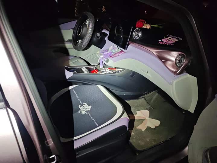 Фото 8 - BYD Dolphin