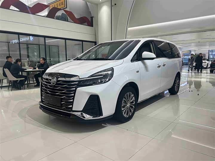 Фото 1 - Buick GL8 ES