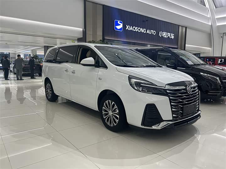 Фото 3 - Buick GL8 ES