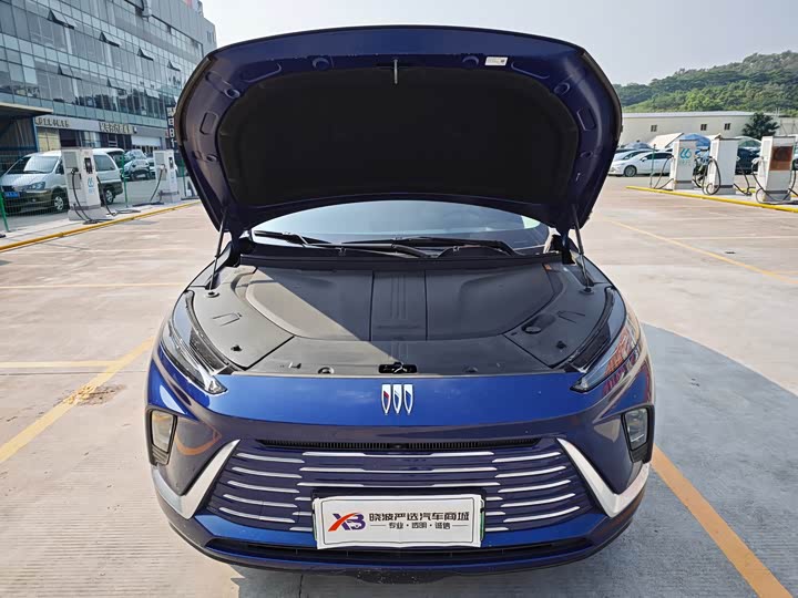 Фото 8 - Buick Electra E5