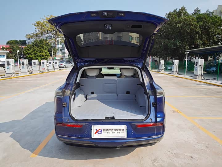 Фото 9 - Buick Electra E5