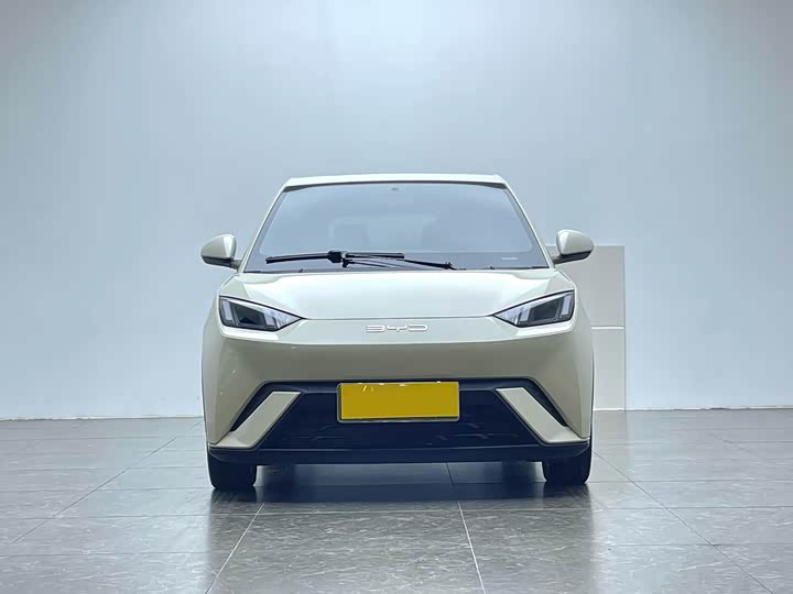 Фото 2 - BYD Seagull