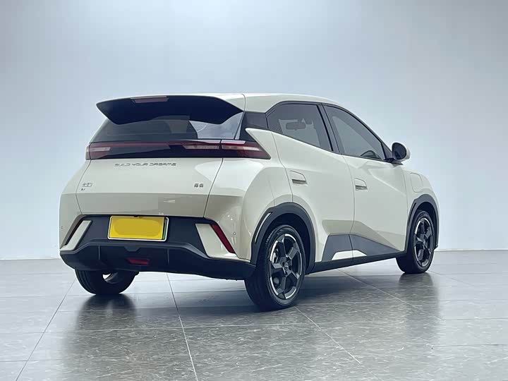 Фото 3 - BYD Seagull