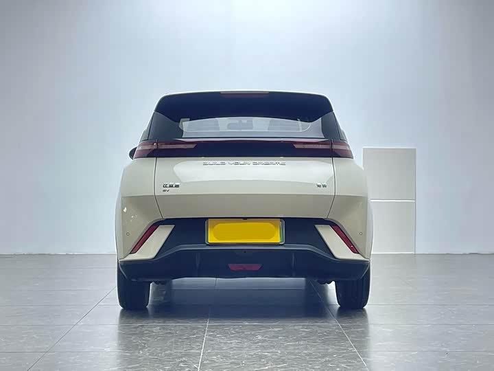 Фото 4 - BYD Seagull