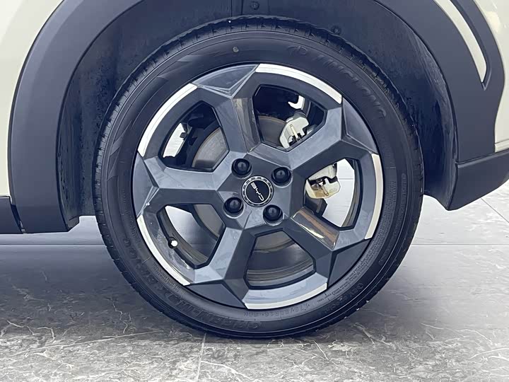 Фото 7 - BYD Seagull