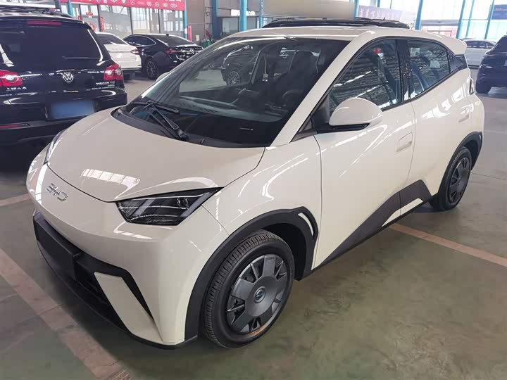 Фото 1 - BYD Seagull