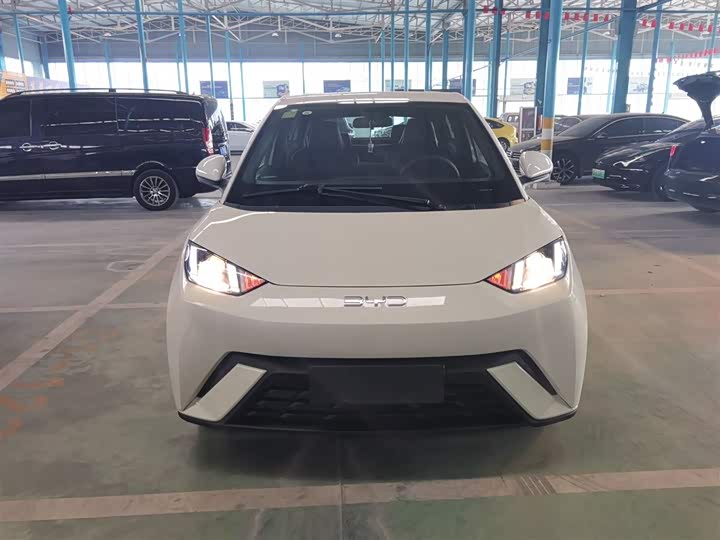 Фото 3 - BYD Seagull