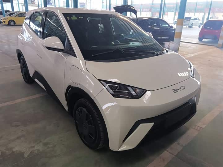 Фото 4 - BYD Seagull