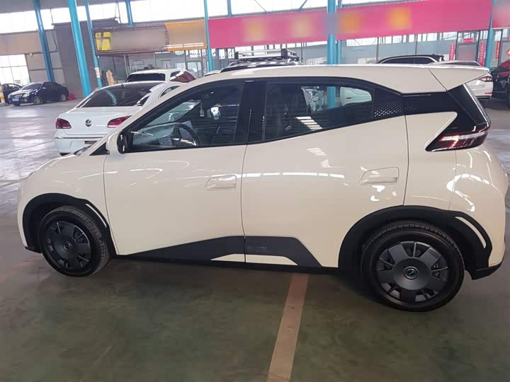 Фото 5 - BYD Seagull