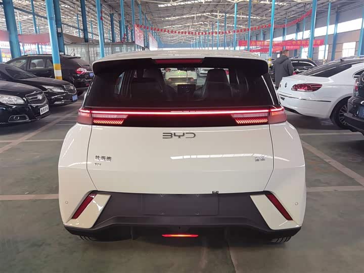 Фото 6 - BYD Seagull