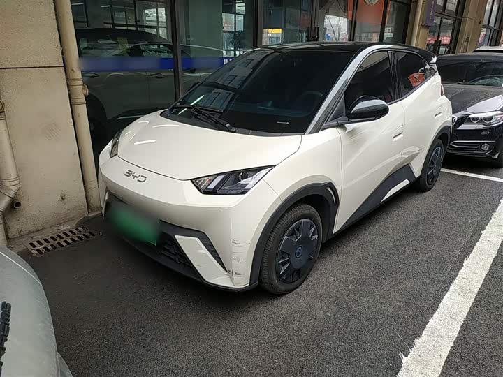 Фото 1 - BYD Seagull