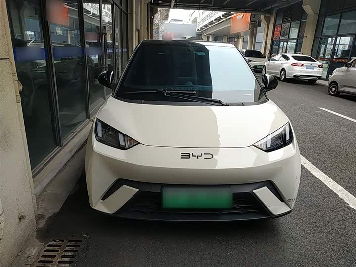 Фото 3 - BYD Seagull