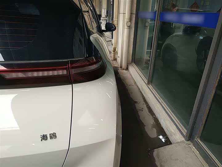 Фото 8 - BYD Seagull