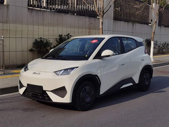 Фото 2 - BYD Seagull