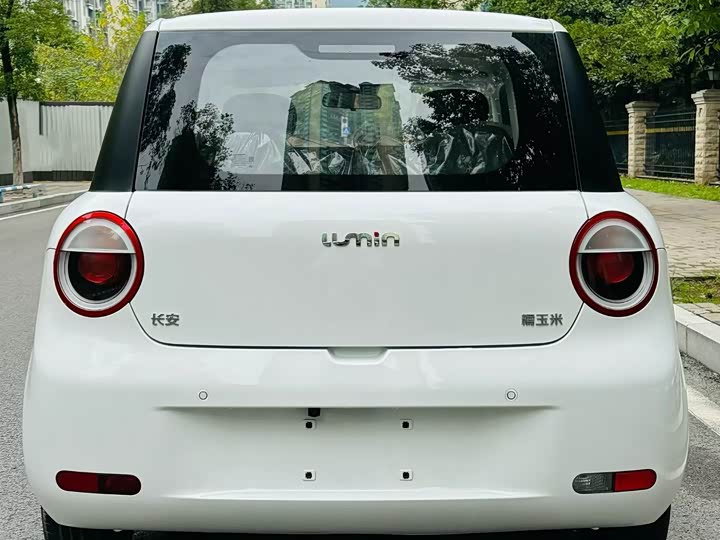 Фото 4 - Changan Qiyuan (Nevo) Lumin