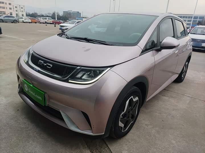 Фото 2 - BYD Dolphin