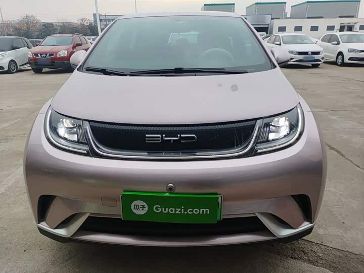 Фото 3 - BYD Dolphin